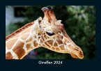 Giraffen 2024 Fotokalender DIN A5