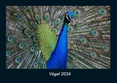 Vögel 2024 Fotokalender DIN A4 - Tobias Becker