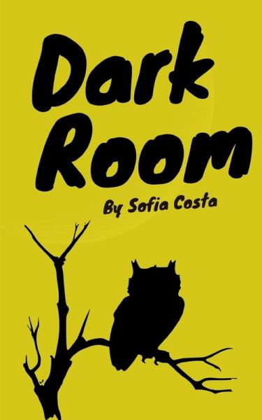 Dark Room Dark Room