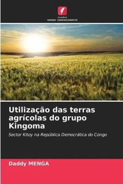 Utilização das terras agrícolas do grupo Kingoma - MENGA, Daddy