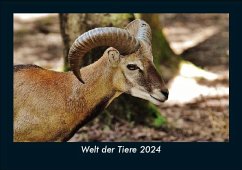 Welt der Tiere 2024 Fotokalender DIN A5 - Tobias Becker
