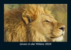 Löwen in der Wildnis 2024 Fotokalender DIN A5