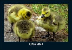 Enten 2024 Fotokalender DIN A5 - Tobias Becker