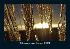 Pflanzen und Blüten 2024 Fotokalender DIN A5 - Tobias Becker