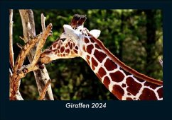 Giraffen 2024 Fotokalender DIN A5 - Tobias Becker
