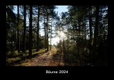 Bäume 2024 Fotokalender DIN A3