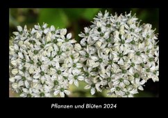 Pflanzen und Blüten 2024 Fotokalender DIN A3 - Tobias Becker