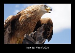 Welt der Vögel 2024 Fotokalender DIN A3 - Tobias Becker