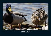 Enten 2024 Fotokalender DIN A5