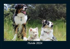 Hunde 2024 Fotokalender DIN A5 - Tobias Becker