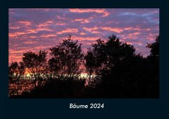 Bäume 2024 Fotokalender DIN A4 - Tobias Becker