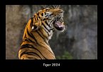 Tiger 2024 Fotokalender DIN A3