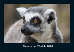 Tiere in der Wildnis 2024 Fotokalender DIN A4 - Tobias Becker