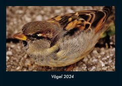 Vögel 2024 Fotokalender DIN A4 - Tobias Becker