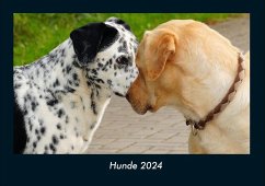 Hunde 2024 Fotokalender DIN A4 - Tobias Becker