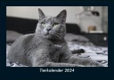 Tierkalender 2024 Fotokalender DIN A5