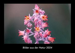 Bilder aus der Natur 2024 Fotokalender DIN A3 - Tobias Becker