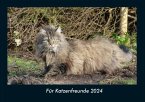 Für Katzenfreunde 2024 Fotokalender DIN A4