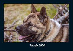 Hunde 2024 Fotokalender DIN A4 - Tobias Becker