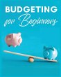 Budgeting for Beginners - Bild 1
