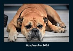 Hundezauber 2024 Fotokalender DIN A4 - Tobias Becker