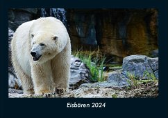 Eisbären 2024 Fotokalender DIN A4 - Tobias Becker