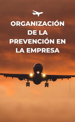 Organización de la prevención de la empresa (eBook, ePUB) - Francisco, Pontes