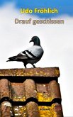 Drauf geschissen (eBook, ePUB) Drauf geschissen (eBook, ePUB)