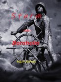 Sturm über Bornholm (eBook, ePUB)