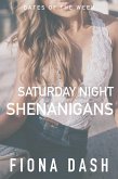 Saturday Night Shenanigans (Meet Cute, #2) (eBook, ePUB)
