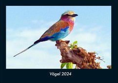 Vögel 2024 Fotokalender DIN A4 - Tobias Becker