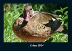 Enten 2024 Fotokalender DIN A4