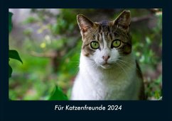 Für Katzenfreunde 2024 Fotokalender DIN A4 - Tobias Becker