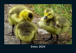 Enten 2024 Fotokalender DIN A5 - Tobias Becker