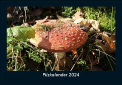 Pilzkalender 2024 Fotokalender DIN A5 - Tobias Becker