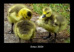 Enten 2024 Fotokalender DIN A3 - Tobias Becker