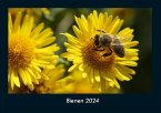 Bienen 2024 Fotokalender DIN A4