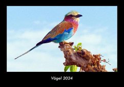 Vögel 2024 Fotokalender DIN A3 - Tobias Becker
