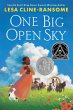 One Big Open Sky - Bild 1