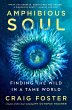 Amphibious Soul (eBook, ePUB) - Bild 1