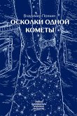 Осколки одной кометы (eBook, ePUB)