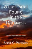 A Lost Soul Found in the Darkness (eBook, ePUB)