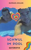 Schwul im Pool (eBook, ePUB)