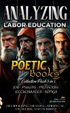 Analyzing Labor Education in Poetic Books (The Education of Labor in the Bible) (eBook, ePUB)