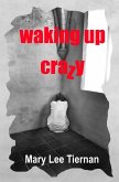 Waking Up Crazy (Dreams Untangled, #2) (eBook, ePUB)