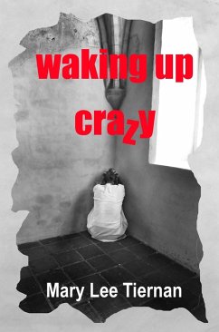 Waking Up Crazy (Dreams Untangled, #2) (eBook, ePUB) - Tiernan, Mary Lee