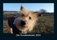 Der Hundekalender 2024 Fotokalender DIN A5 - Tobias Becker