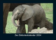 Der Elefantenkalender 2024 Fotokalender DIN A5 - Tobias Becker