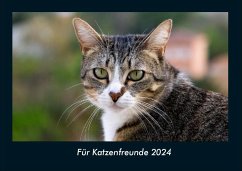 Für Katzenfreunde 2024 Fotokalender DIN A4 - Tobias Becker