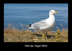 Welt der Vögel 2024 Fotokalender DIN A3 - Tobias Becker